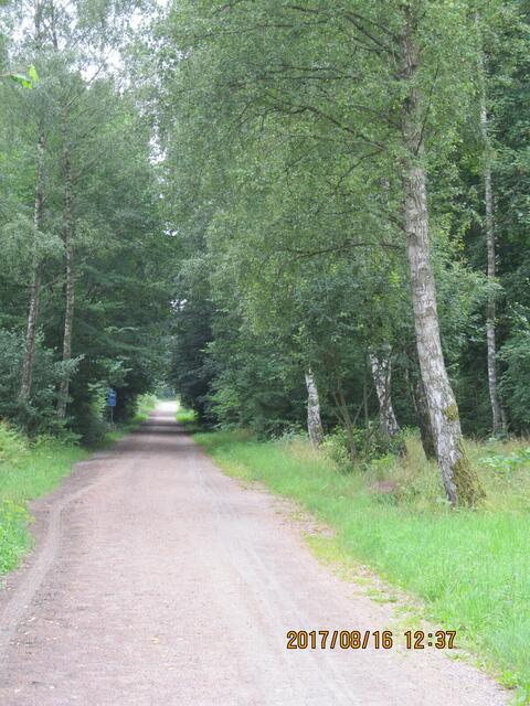 alte Bahntrasse als Radweg