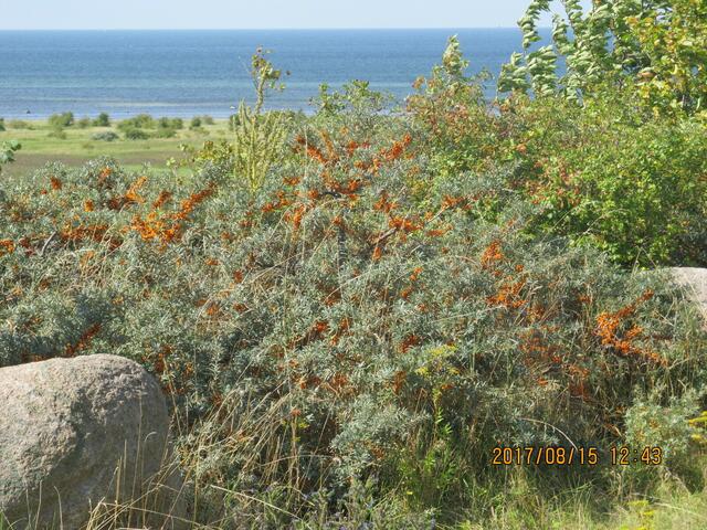 ...aber vorher noch ein wenig Landschaft schauen ...