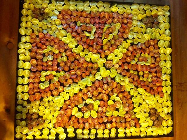 ein Muster aus Tomaten