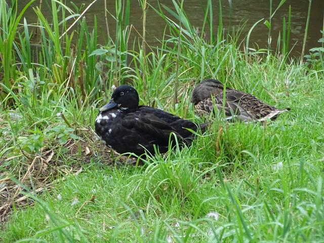 .... oder hat er doch was in der Tasche außer der doofen Knipse.