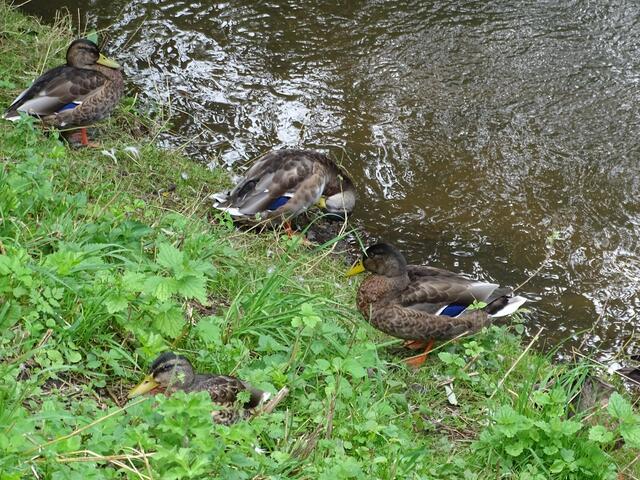 Erst einmal ist Waschtag.