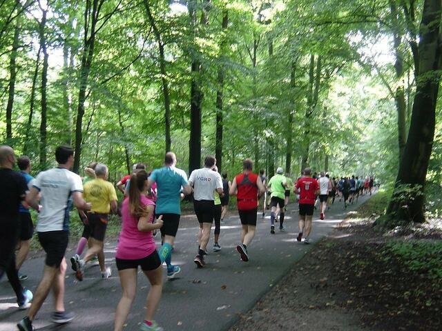 Die Laufsportler sind soeben gestartet.