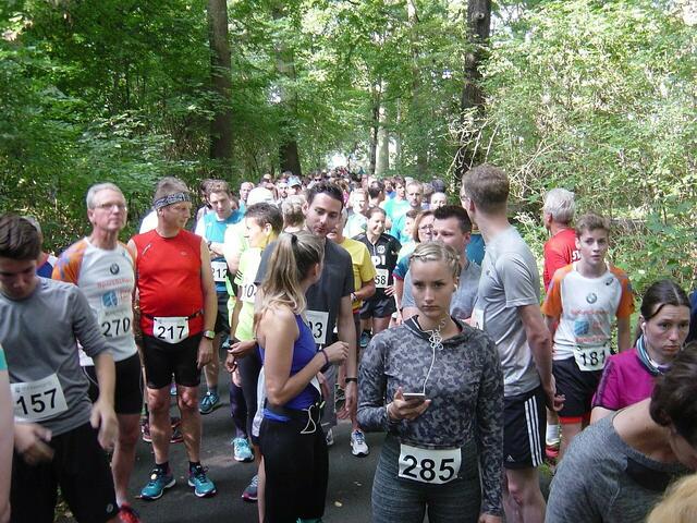 Startaufstellung hinter dem Berichterstatter ...