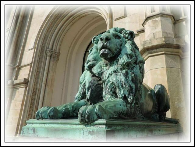 Vor dem Haupteingang des Welfenschlosses Hannover (heute Leibniz Universität) stehen zwei bronzene Löwen des Künstlers Adolf Rosenthal. 1862 wurden die imposanten Tiere in der Hof-Bronzgießerei Bernstorff & Eichwede gegossen. Während der eine Löwe die Studenten zum Lernen ermahnen soll, soll dieser hier "Ihr arbeitet ja doch nicht!" antworten. (Quelle: Wikipedia, Adolf Rosenthal) (Foto: Katja Woidtke)