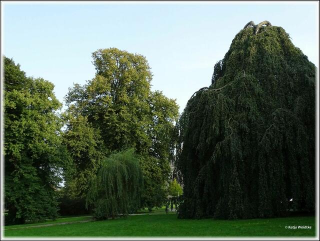 Der Welfengarten wurde 1720 ursprünglich als Barockgarten angelegt und erst später in einen Landschaftsgarten umgewandelt (Foto: Katja Woidtke)