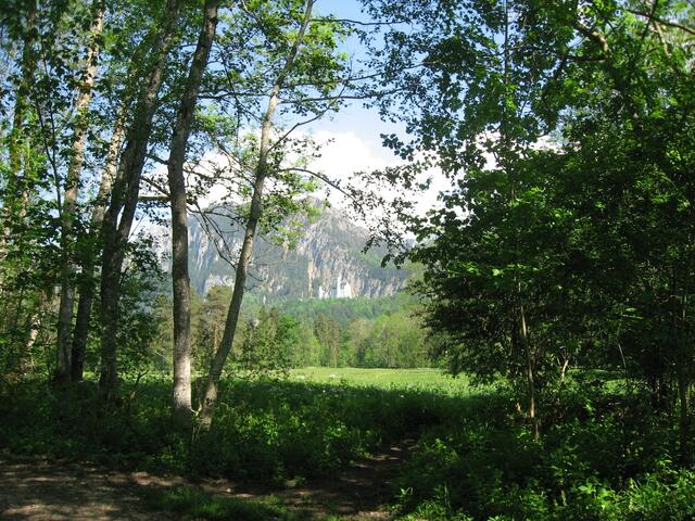 Genau hinschaun: Durchblick zum Schloss.