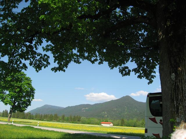 Bergkamm bei Halblech, Richtung Füssen.