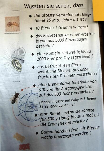 Wussten sie schon