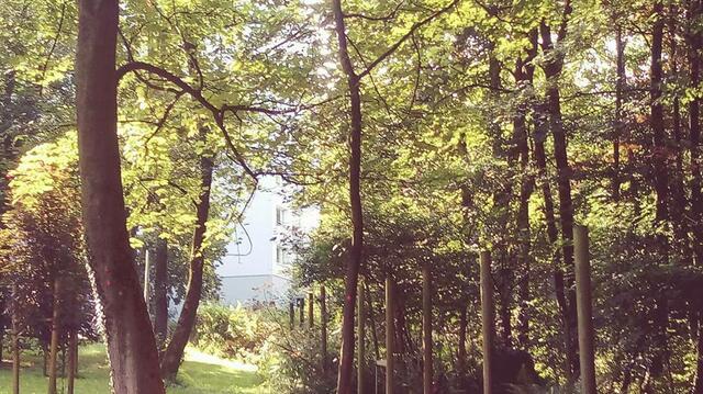 Friedhof Puetz-Roth in Bergisch Gladbach