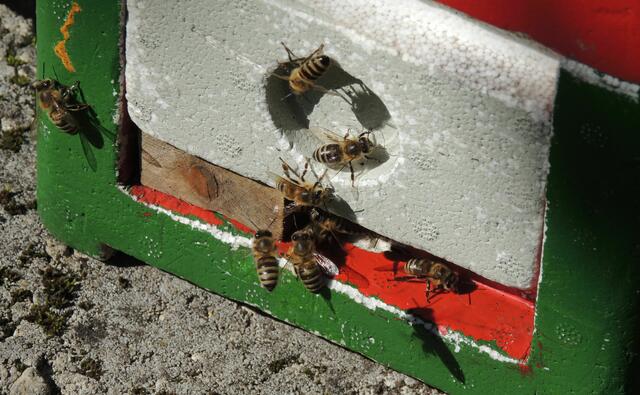 Ist so etwas für unseren Garten geeignet?