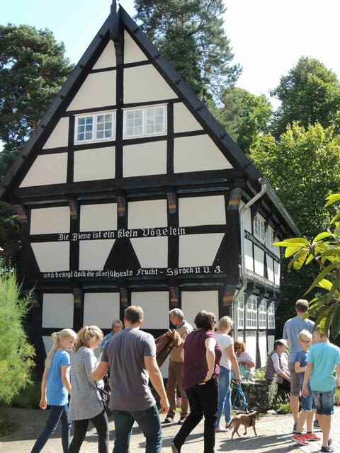 Ein anderes Vogelhaus