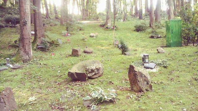 Friedhof Puetz-Roth in Bergisch Gladbach