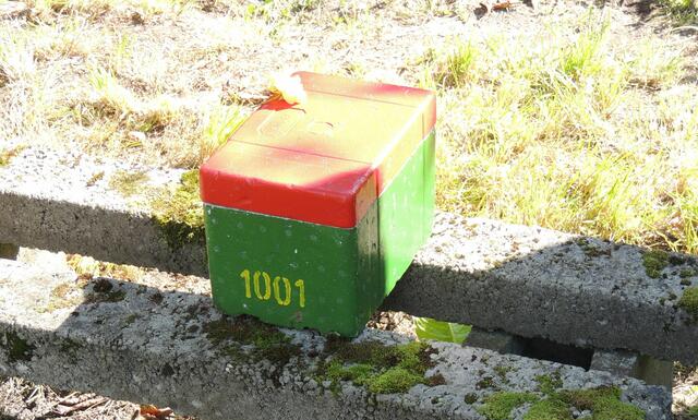 Ein kleiner Bienenkasten für Nichtimker