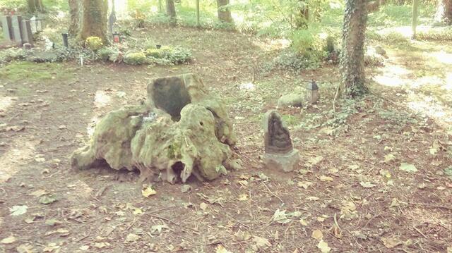 Friedhof Puetz-Roth in Bergisch Gladbach