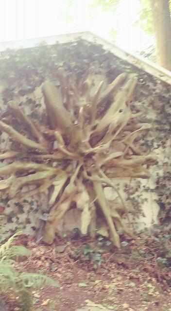 Friedhof Puetz-Roth in Bergisch Gladbach