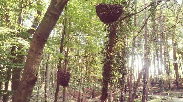 Friedhof Puetz-Roth in Bergisch Gladbach