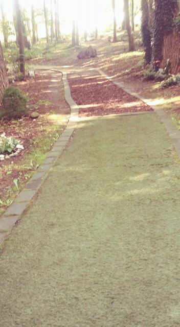 Sinnespfad...Friedhof Puetz-Roth in Bergisch Gladbach