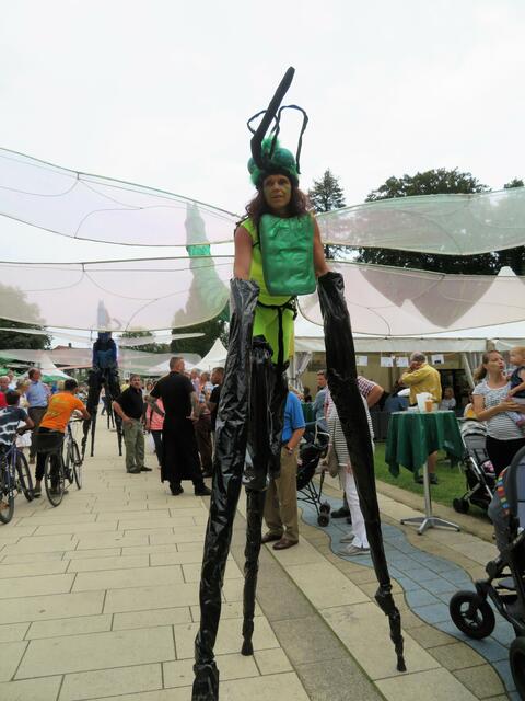 Grüne Libelle