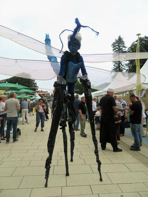 Blaue Libelle