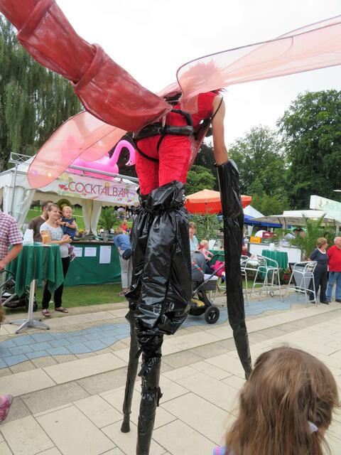 Rote Libelle fliegt davon.