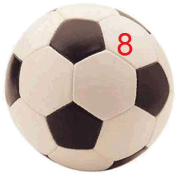 8. Spieltag der Fußball-Bundesliga.