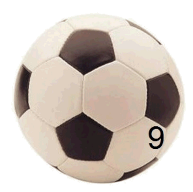 9. Spieltag der Fußball-Bundesliga.