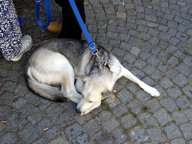 28. Wiener Feuerwehrfest 2017