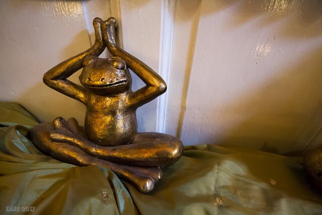Der Frosch macht Yoga ;-)