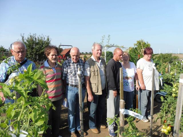 von links: Rolf Bielau, Christoph Kleinhanns Tomatenzüchter, daneben Züchter aus Quedlinburg, sowie Matthias Braune, Gisela Ewe und Bettina Pfaffenbeg