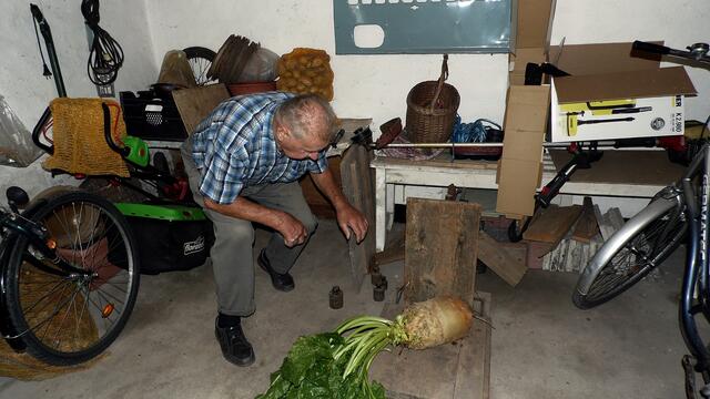 Diese Kartoffel hat 1260 Gramm auf die Waage gebracht und die Futterrübe 5 Kilo und 275g,meinen Glückwunsch zu dem dem Zuchterfolg !