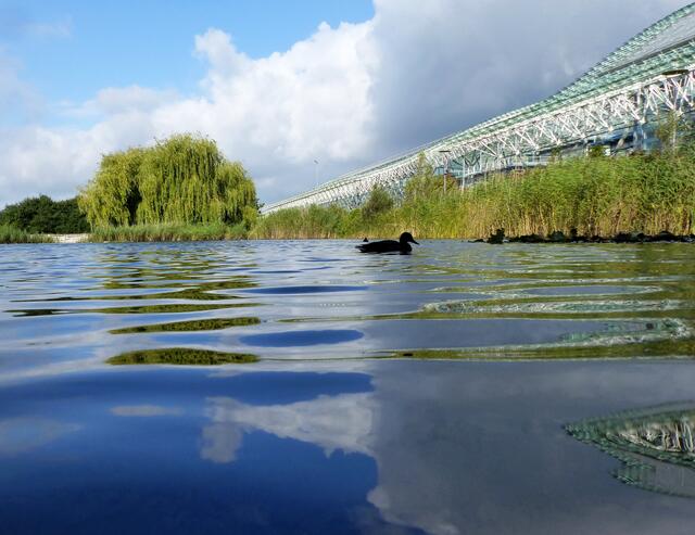 Das Kameraobjektiv knapp über dem Wasserspiegel lässt besondere Reflexionen auf der Wasseroberfläche entstehen.