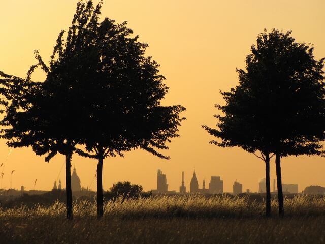 Und im Licht der untergehenden Sonne geht der Blick zur Stadtsilhouette Hannovers hinüber. Der nur wenig besuchte Kattenbrook-Park lohnt einen Besuch.