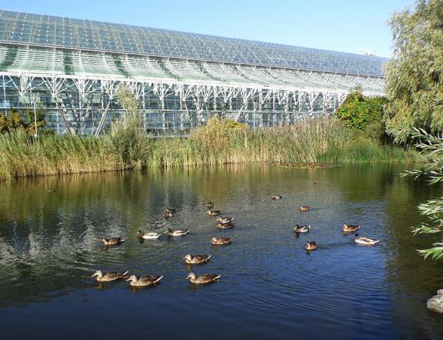 Der größere parallel zum futuristischen Rechenzentrum der Sparkassen.