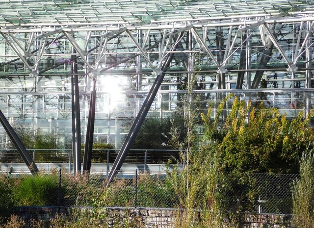 Der Bau aus Stahl und Glas mit seinem besonderen Raumklima, für das weder Klimaanlage noch Heizung benötigt werden, hat auch in seinem Inneren viel Grün. Er ist mit seinem geschwungenen Dach eine eindrucksvolle architektonische Konstruktion.