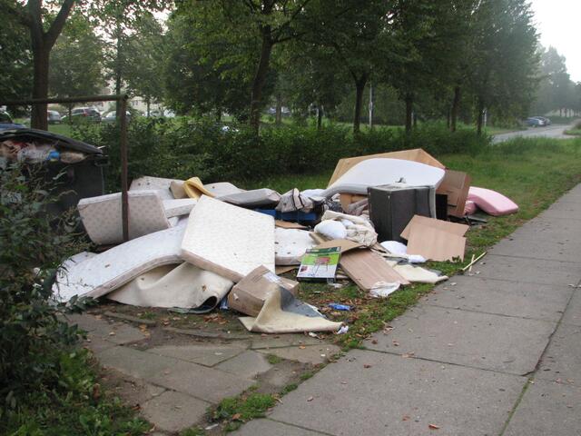Furchtbare Zustände im Mußer Holz
