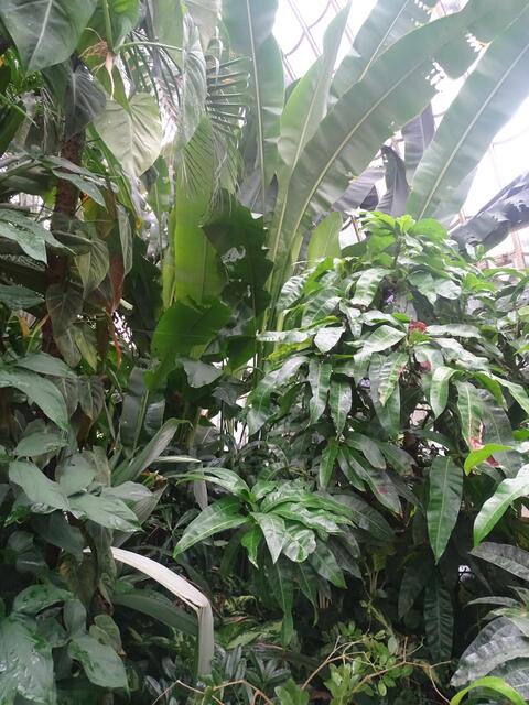 Palmenhaus Wien-Schönbrunn
