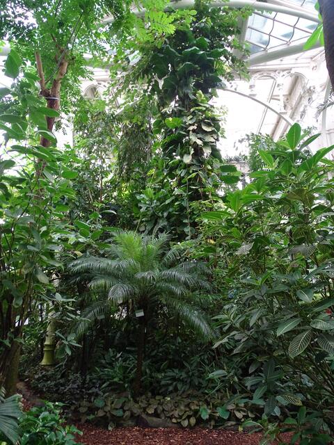 Palmenhaus Wien-Schönbrunn