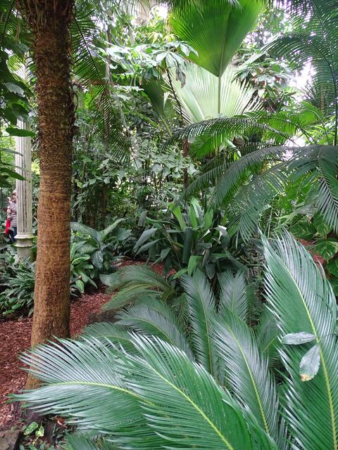 Palmenhaus Wien-Schönbrunn
