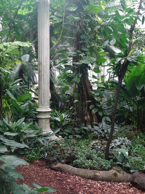 Palmenhaus Wien-Schönbrunn