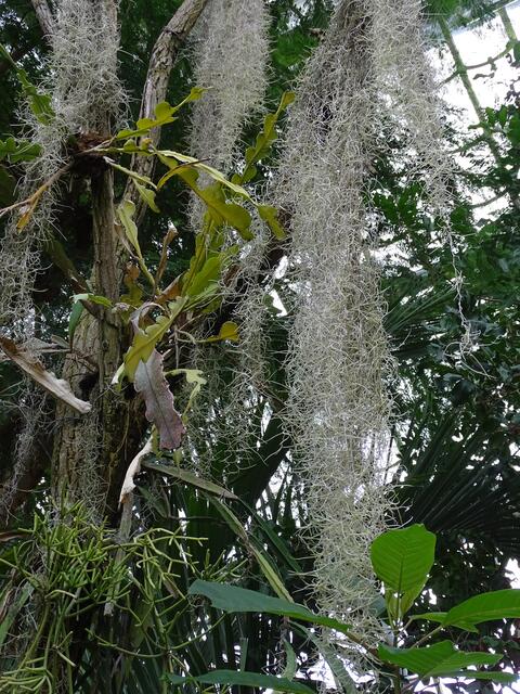 Palmenhaus Wien-Schönbrunn