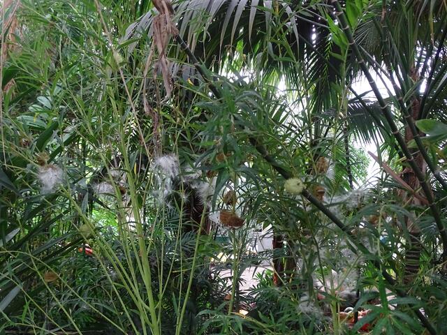 Palmenhaus Wien-Schönbrunn