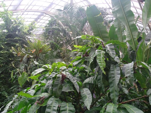 Palmenhaus Wien-Schönbrunn