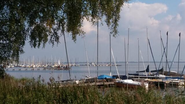 ...mit Blick auf das Steinhuder Meer....