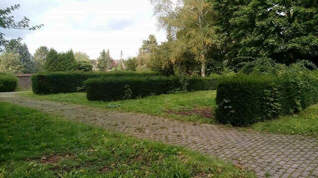 Der alte Friedhof Immerath