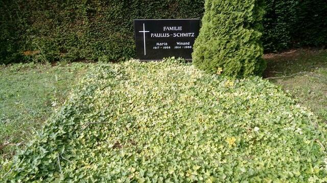 Der alte Friedhof Immerath