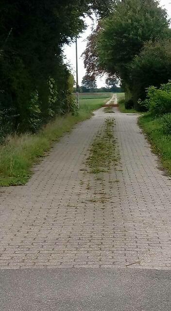Feldweg neben dem alten Immerather Friedhof