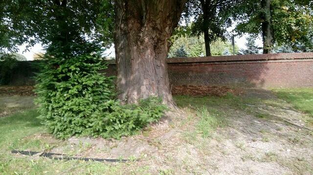 Der alte Friedhof Immerath