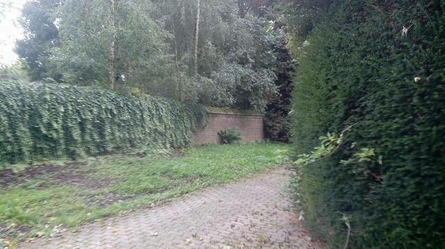 Der alte Friedhof Immerath