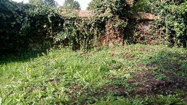 Der alte Friedhof Immerath