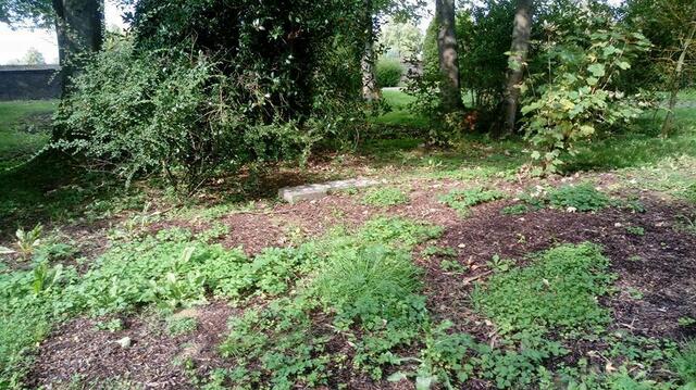 Der alte Friedhof Immerath